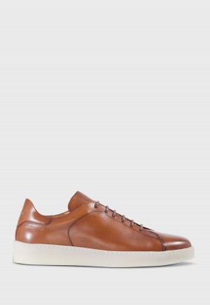 Brown Paul Stuart Boston Leather Derby | UK_PAUL81208