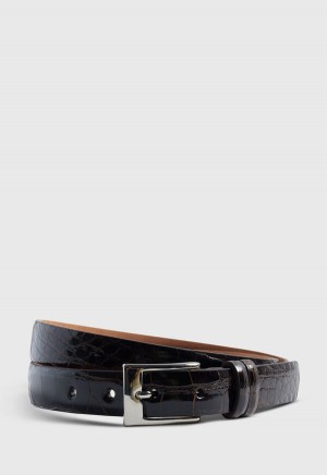 Dark Brown Paul Stuart Alligator with Silver | UK_PAUL81697