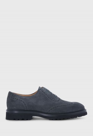 Grey Paul Stuart Homer Suede Wing Tip | UK_PAUL76424