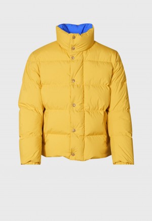 Light Yellow Paul Stuart Puffer Jacket | UK_PAUL69275