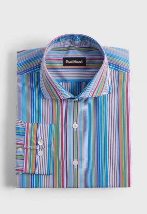 Multicolor Paul Stuart Cotton Multicolor Stripe | UK_PAUL23487