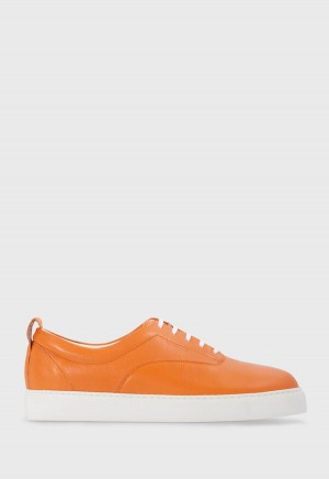 Orange Paul Stuart CVO Leather | UK_PAUL23759