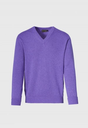 Purple Paul Stuart Classic Cashmere Double Ply V-Neck | UK_PAUL30062