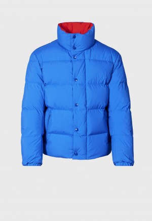 Royal Blue Paul Stuart Puffer Jacket | UK_PAUL11817