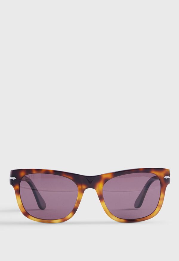 Brown Paul Stuart Persol Tortoise Frame | UK_PAUL91757